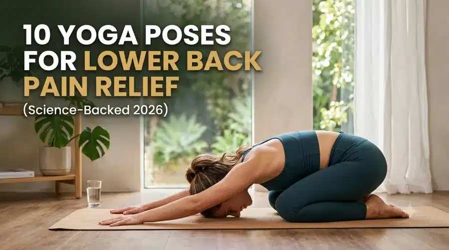yoga poses back pain relief